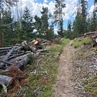 8. Who the Heck Runs Their First 25K Trail Race a Week After a Half Marathon?