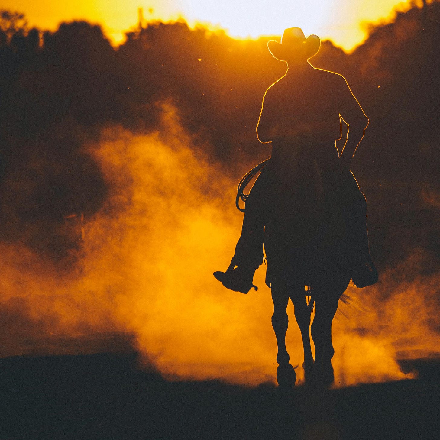 color photograph of a cowboy riding in sunset color photograph of a cowboy riding in sunset
