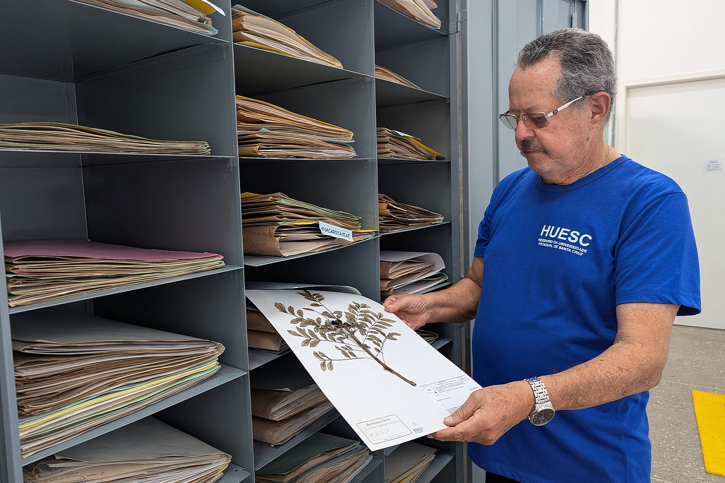 Luiz Alberto Mattos Silva, former curator of the herbarium of the State University of Santa Cruz (UESC), where samples of all plants collected by Hemerson Dantas dos Santos Pataxó HaHaHãi are kept. Since the data of the samples were entered into the herbarium system, he said, anyone anywhere in the world can consult it. Image by Karla Mendes/Mongabay.