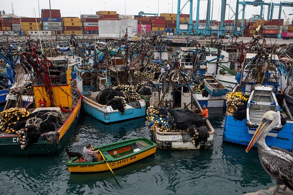 Peru Growth Misses Forecasts On Weak Fishing, Manufacturing Peru Growth Misses Forecasts On Weak Fishing, Manufacturing