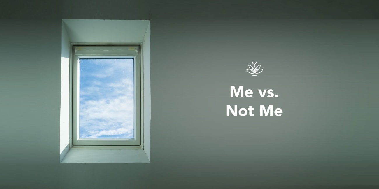 Me vs. Not Me
