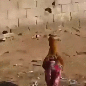 Pants GIF