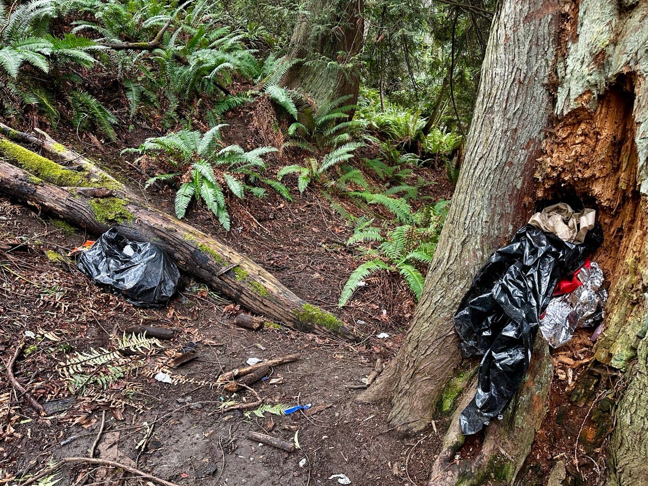 A tree with trash bags and a fallen tree

Description automatically generated with medium confidence