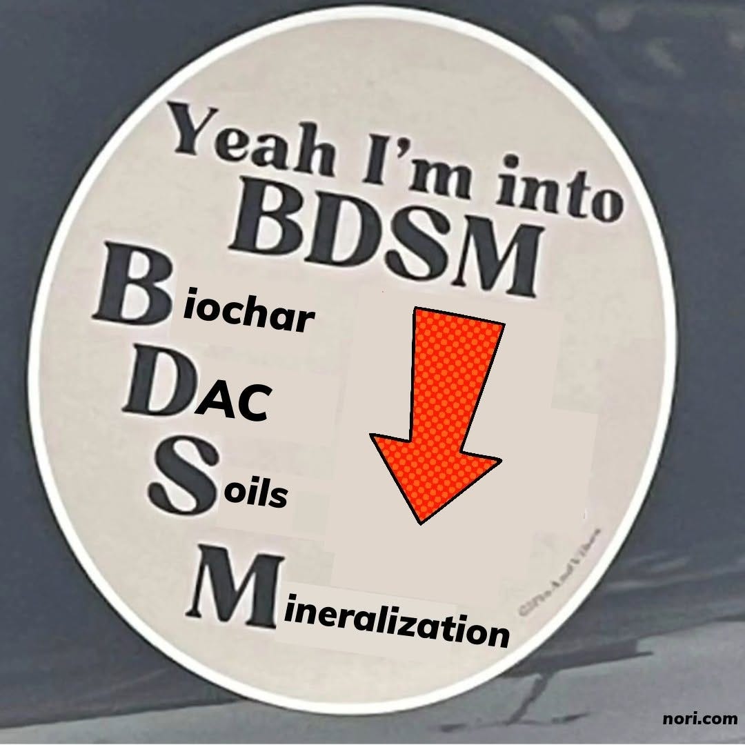 A round sticker reading "Yeah I'm into BDSM" with the letters spelled out as Biochar, DAC, Soils, Mineralization, and a red arrow.