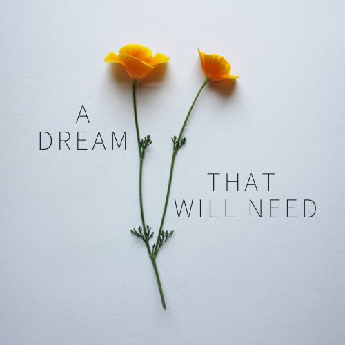 A Dream That Will Need