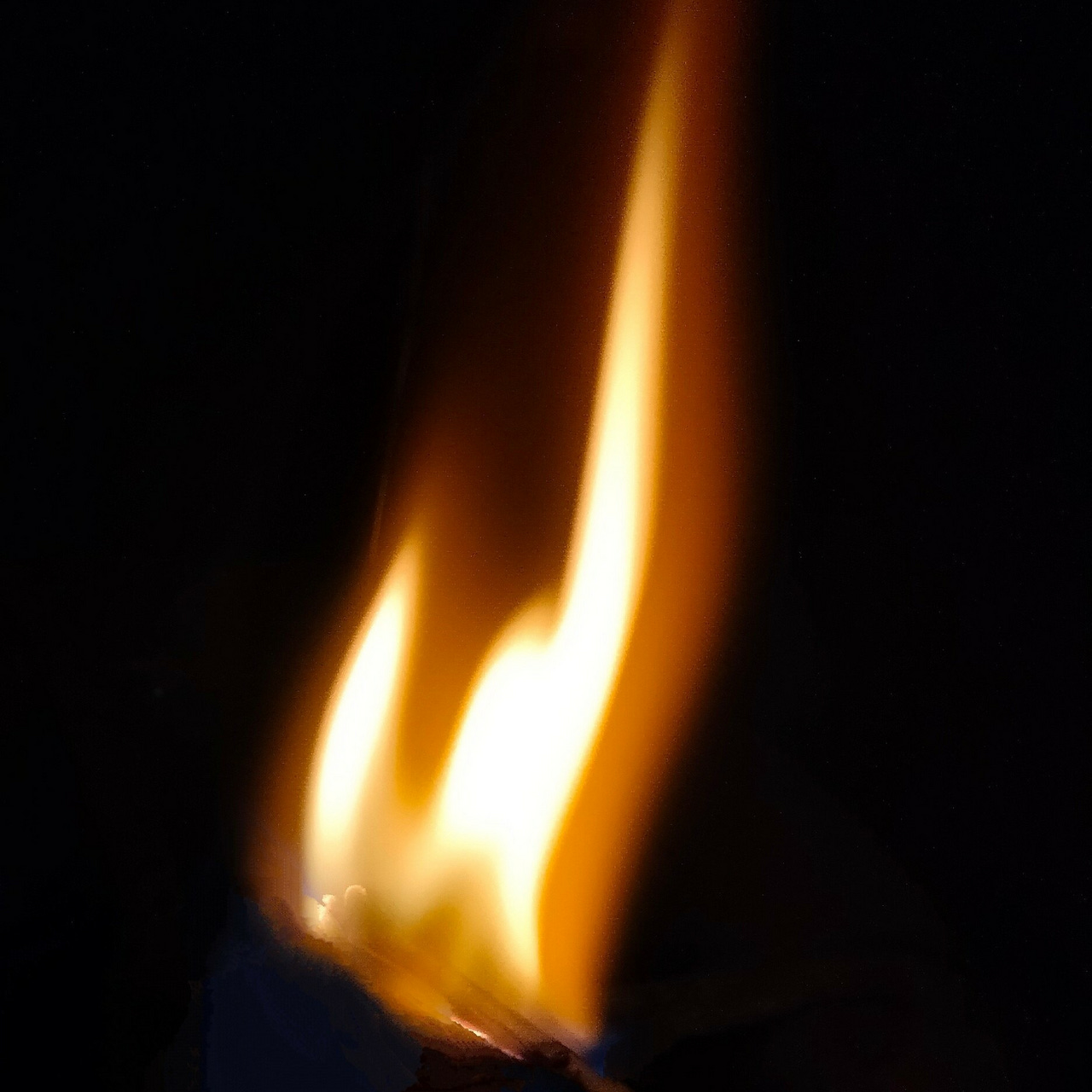 Will O' the Wisp \ud83d\udd25