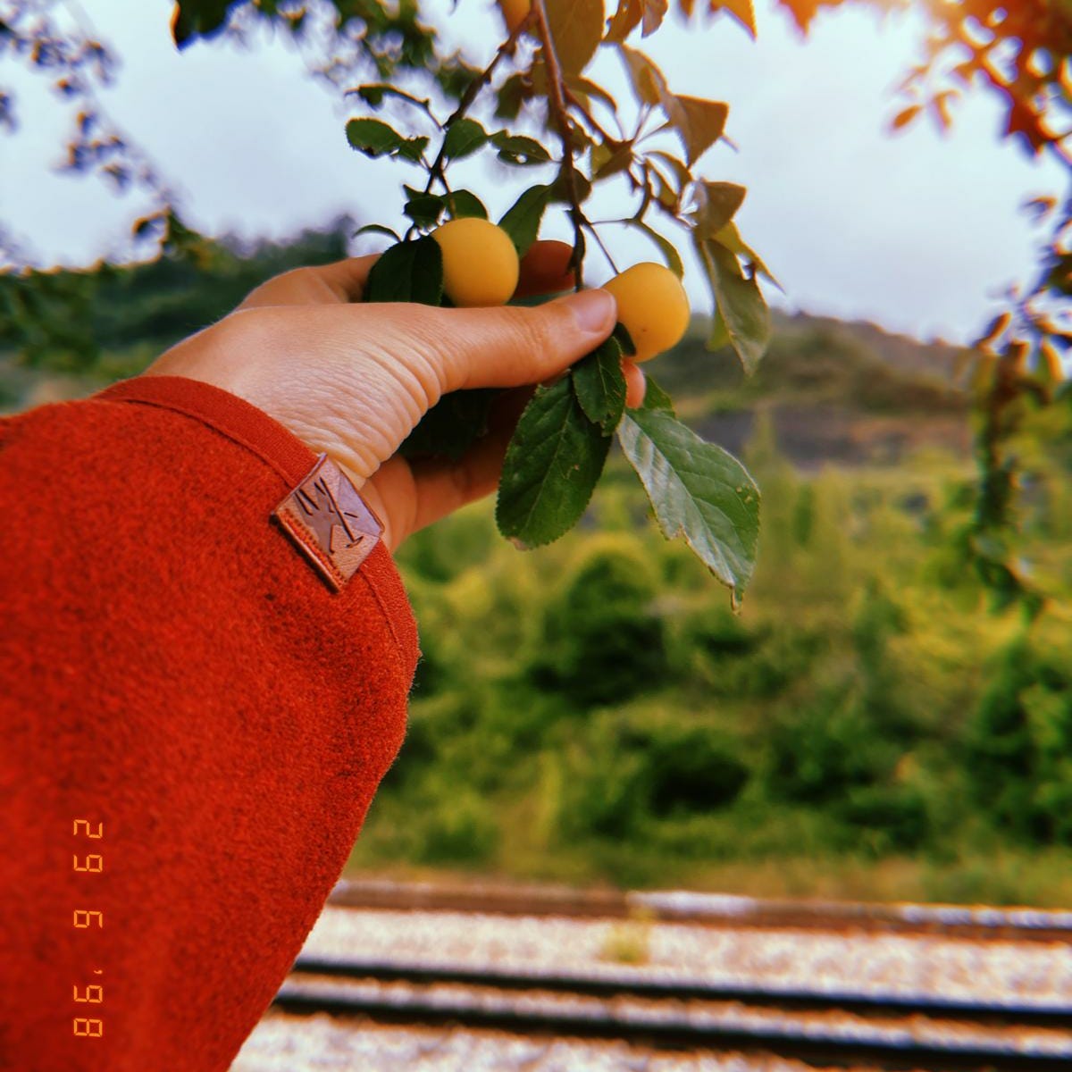 Salute e metamorfosi