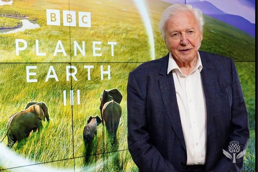 Sir David Attenborough looking into a screen. Picture Credit: Britannica Sir David Attenborough looking into a screen. Picture Credit: Britannica
