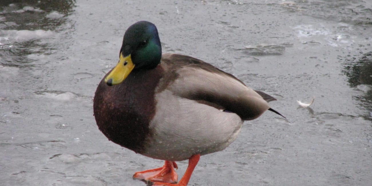 Sceptics should stop driving their tanks onto experts' lawns