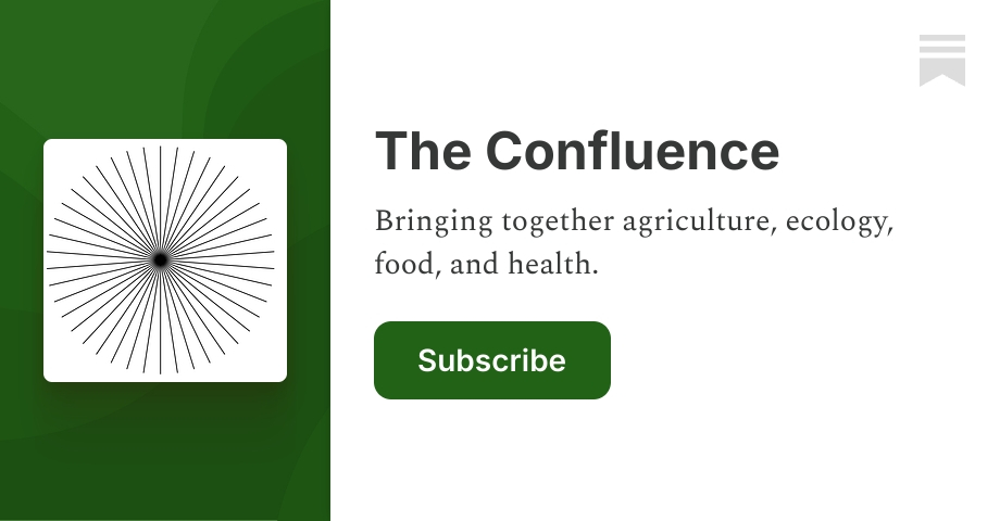 About - The Confluence