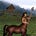 Trojan Centaur's avatar