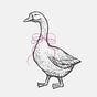 Silly Goose HQ's avatar
