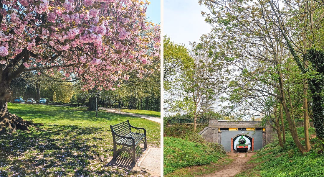 Two pictures - one of a cherry blossom tree with a bench underneath and one of a green train in a tunnel with trees around it