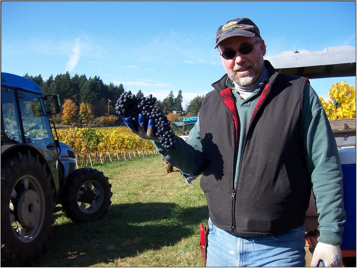 Got One! One of the largest clones of Estate Grown Syrah.