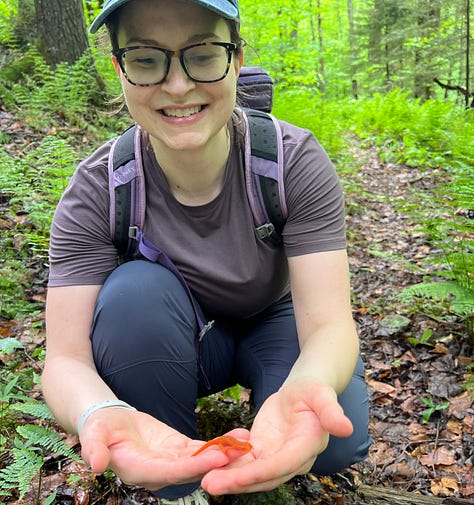 Three photos depicting Kumbrabow plant life and the author holding a red eft.
