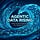 Agentic Data Rising