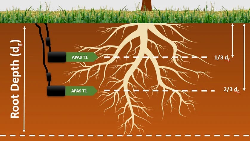 As a general guideline, install two sensors per location at 1/3 and 2/3 of the crop's effective rooting depth.
