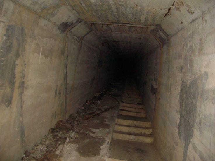 Pin by Renee Staines on old photos | Pinterest