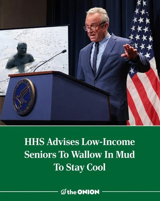 May be an image of 1 person and text that says 'HHS Advises Low- Low-Income Seniors To Wallow In Mud To Stay Cool the ONION'