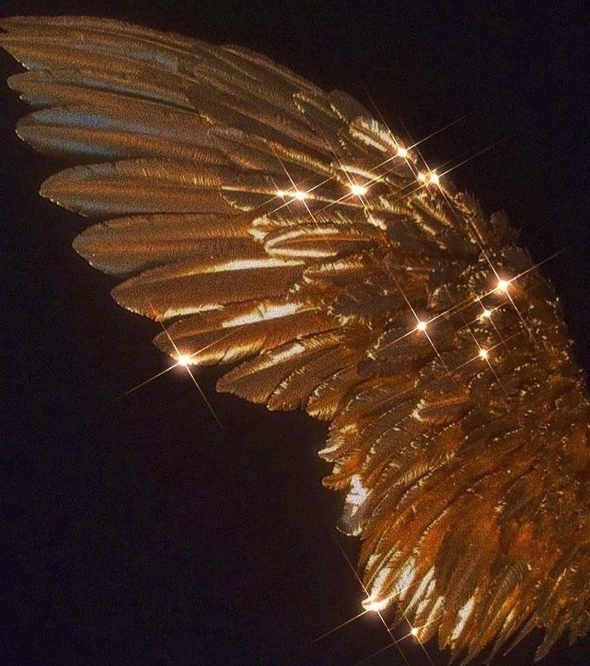 An Instagram  post added by robespierre on Jan 06, 2024. The author is @dreamcore.png. May present: atmosphere of earth, soundcloud, fireworks, sky, recreation.