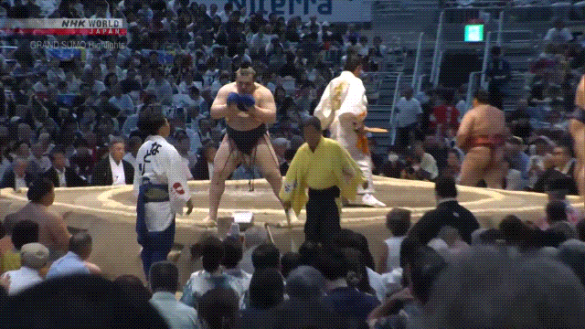 Sumo Stomp! | Tim Edwards | Substack