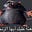 thin garbage bag's avatar