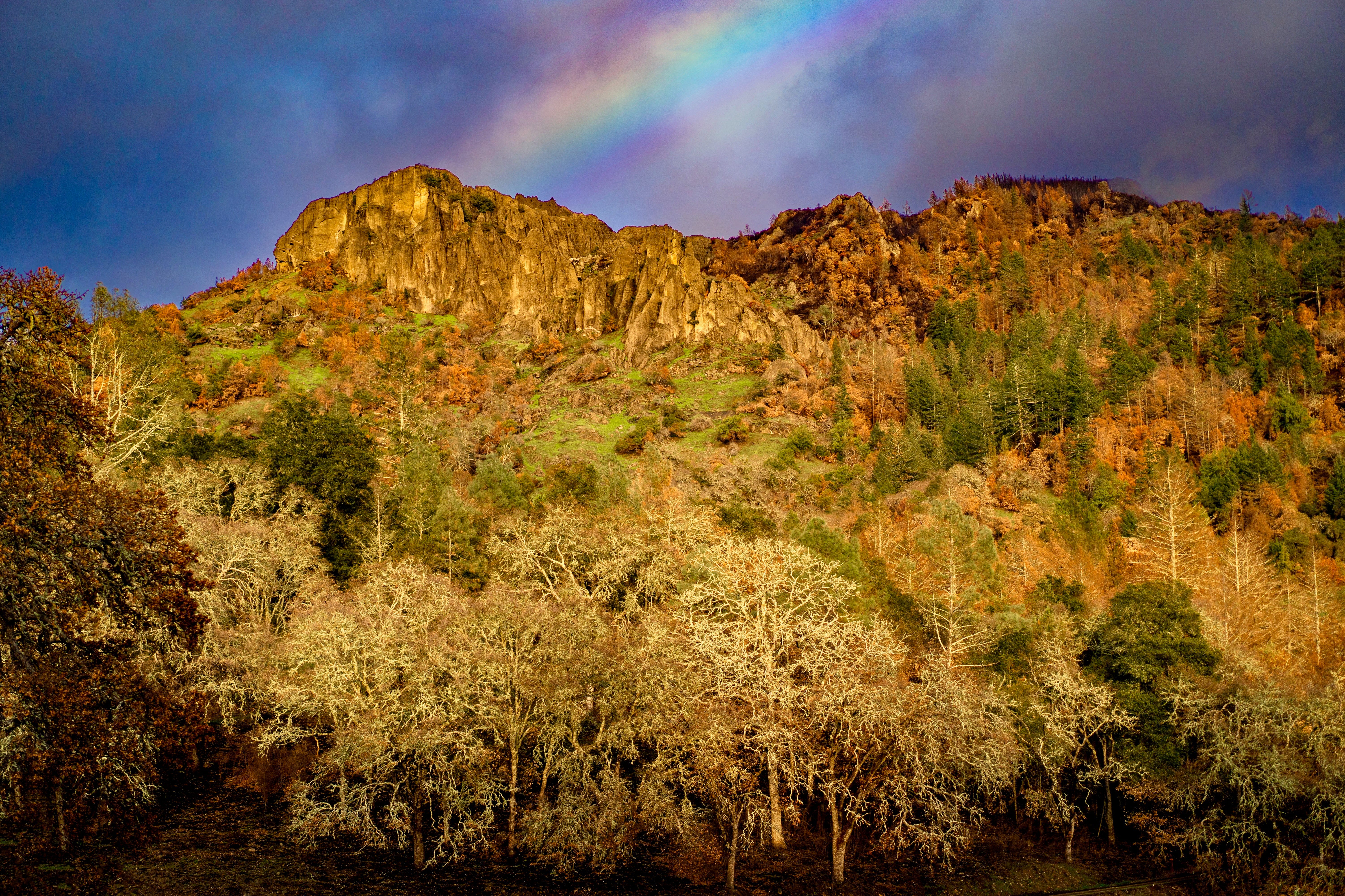 napavalleyfocus.substack.com - Under the Hood: Napa Valley's Economy Looks Bigger Than It Is