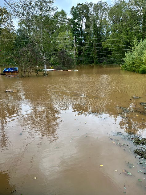 A series of pictures showing flooding in West Asheville.