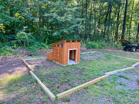 Chicks, ducks, and a duck coop being constructed.