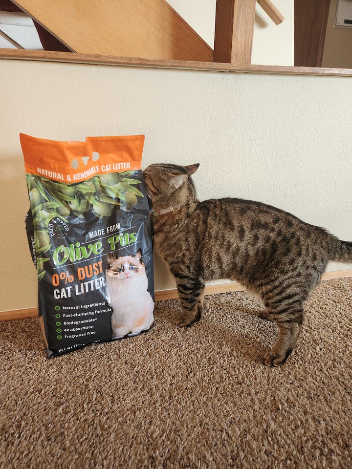 cat litter