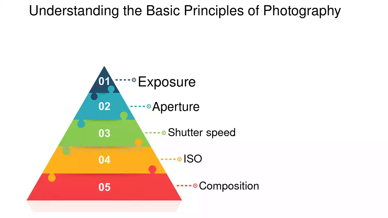 Understanding The Basic Principles Of Photography - FasterCapital