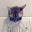 Toby Tyger's avatar