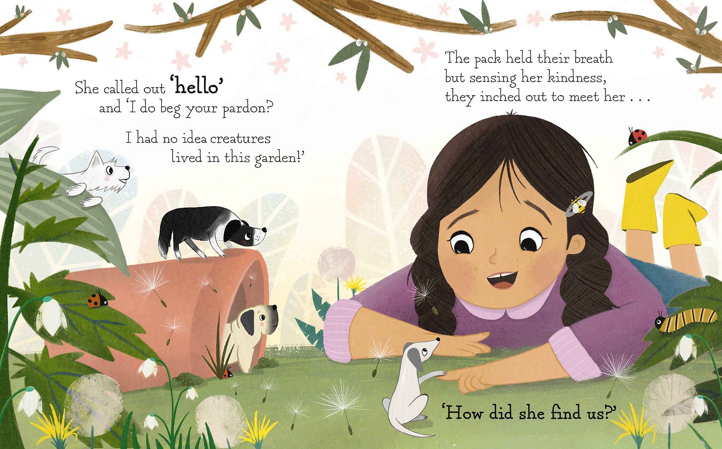 Picture Book Concept, 2022 'The Tiny Dog Pack'