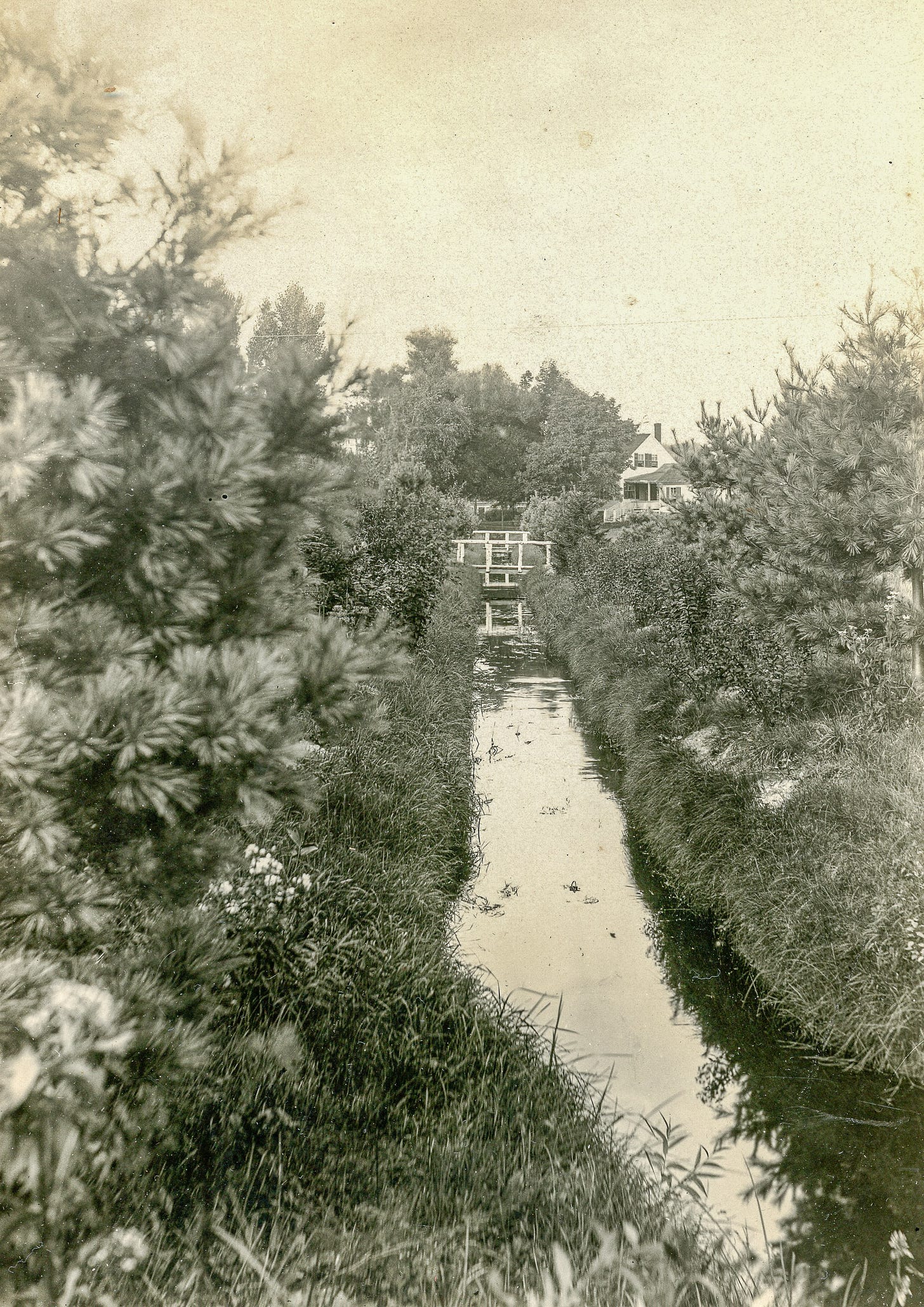 Narrow brook with a bridge