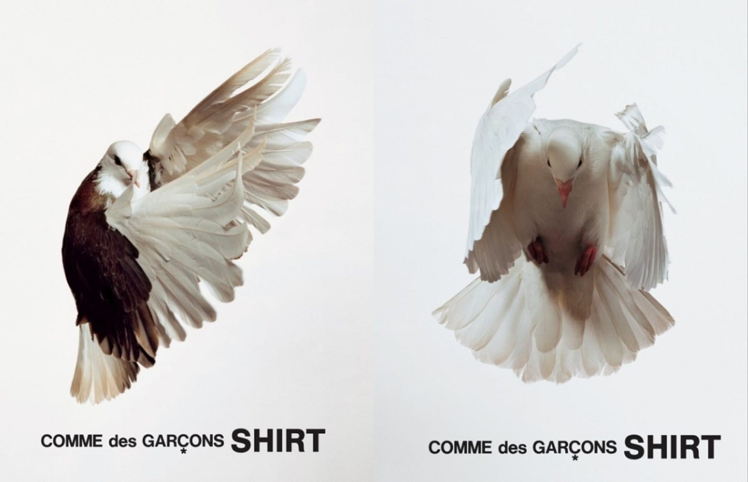 Printed Matter by COMME des GARÇONS — some studies