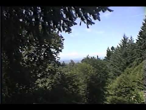 VHS Mountain View Nature Trees Royalty Free Stock Footage - Vidtii FSF - YouTube VHS Mountain View Nature Trees Royalty Free Stock Footage - Vidtii FSF - YouTube