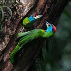 Protected Areas Aren't Enough. What Comes Next?