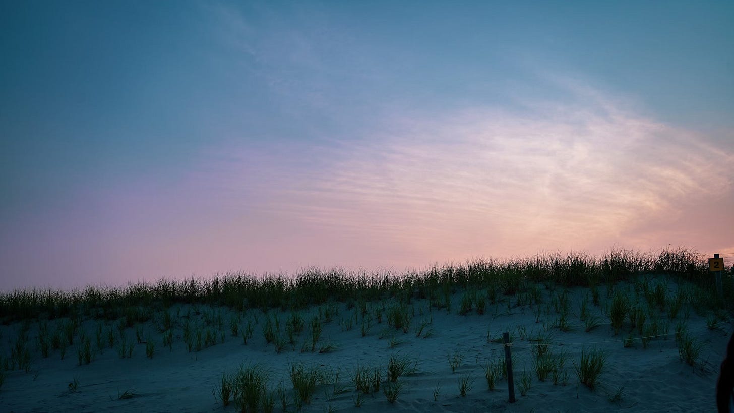 Sunset over a dune in Cape Cod. The sky fades from blue to purple to pink.
