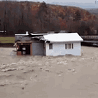 Survivre AprĂšs une Inondation đ đ đȘ