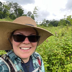 A Postcard from the Moss: July 2025