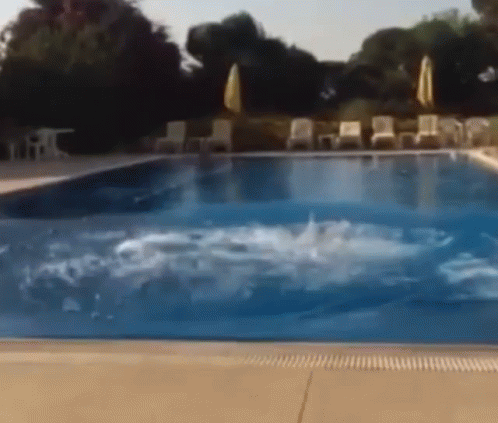 Certain events that are common in one direction of time are unlikely in other directions of time. For example, it is common to see someone jump into a pool, but we've never seen water molecules spontaneously throw people out of pools.
It is the same with systems that process information. They can't operate going backwards in time. If they could, we might see hard drives manifest pictures taken tomorrow.
Image Credit: Tenor Certain events that are common in one direction of time are unlikely in other directions of time. For example, it is common to see someone jump into a pool, but we've never seen water molecules spontaneously throw people out of pools.
It is the same with systems that process information. They can't operate going backwards in time. If they could, we might see hard drives manifest pictures taken tomorrow.
Image Credit: Tenor