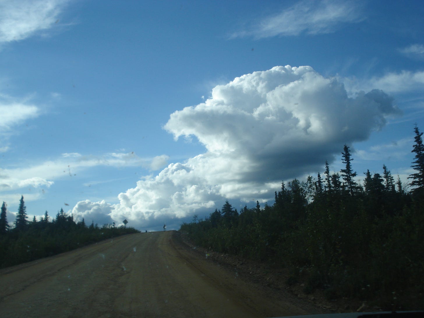 A mountain ridge climbs into the clouds, lined by black spruce trees. A lone caribou stands at the top of the ridge.