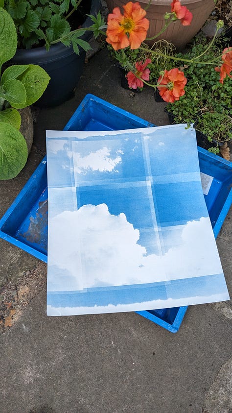 green tea toned cyanotype process