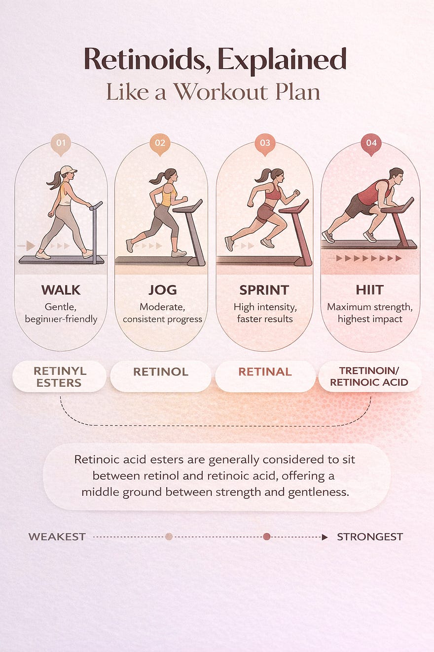 AN explainer diagram of the different retinol types, from the least potent to the most potent. AN explainer diagram of the different retinol types, from the least potent to the most potent.