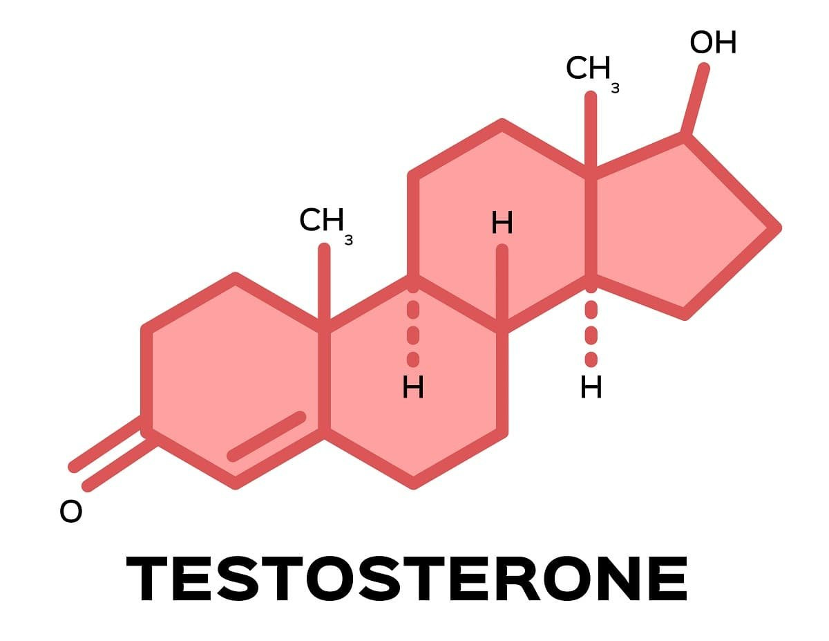 Signs of High Testosterone Levels In a Man, Symptoms of elevated  testosterone