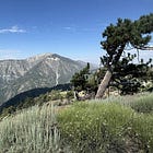 The Smallest Thing on the Mountain