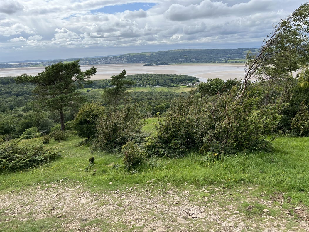 A landscape with trees and a body of water

AI-generated content may be incorrect.