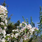 Porch #178 👒 A bouquet of grace-full gems for you