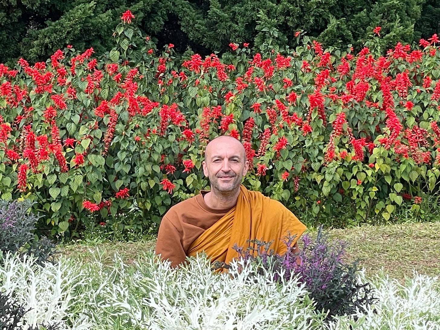 Monk sitting in a garden in the middle of red roses and other beautiful flowers and smiling feeling contentment