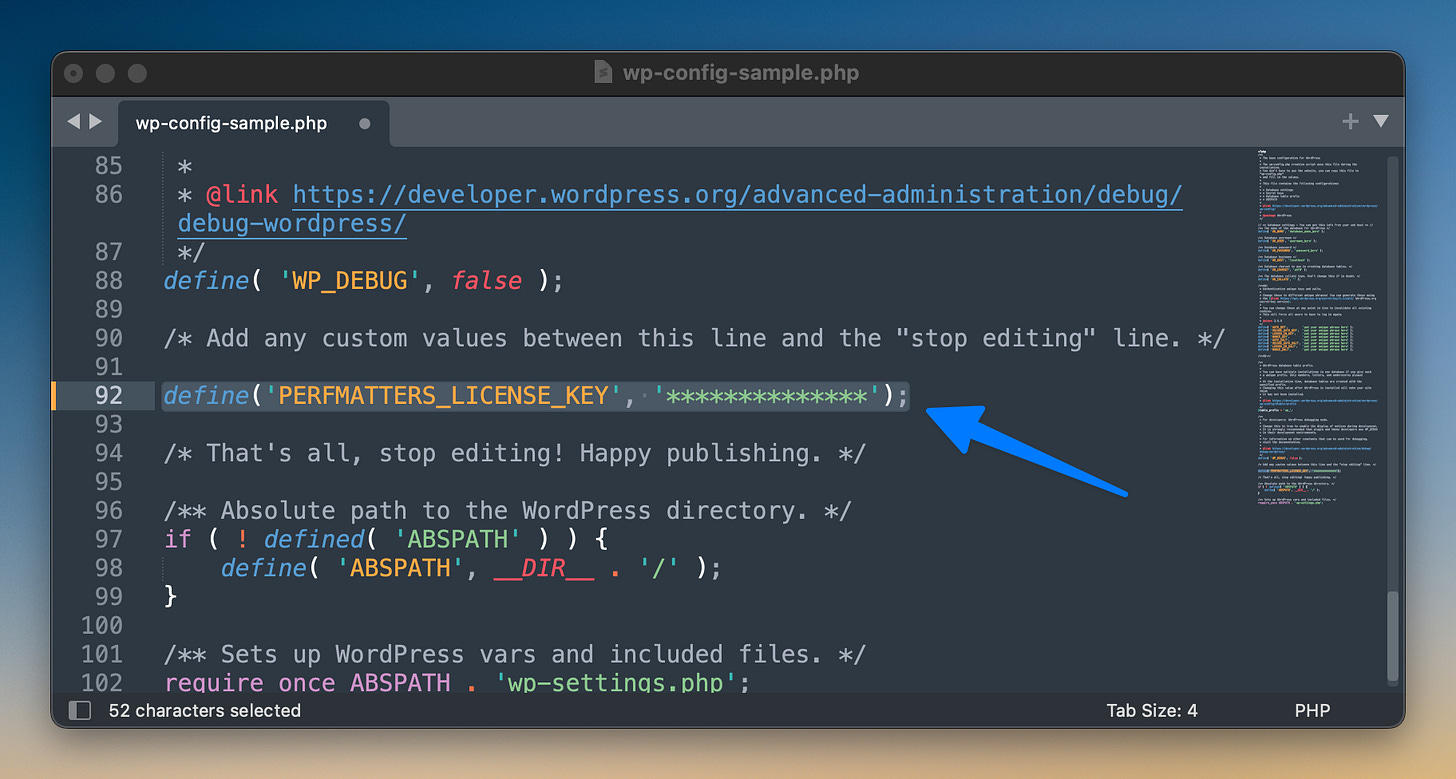 Perfmatters license key in wp-config.php